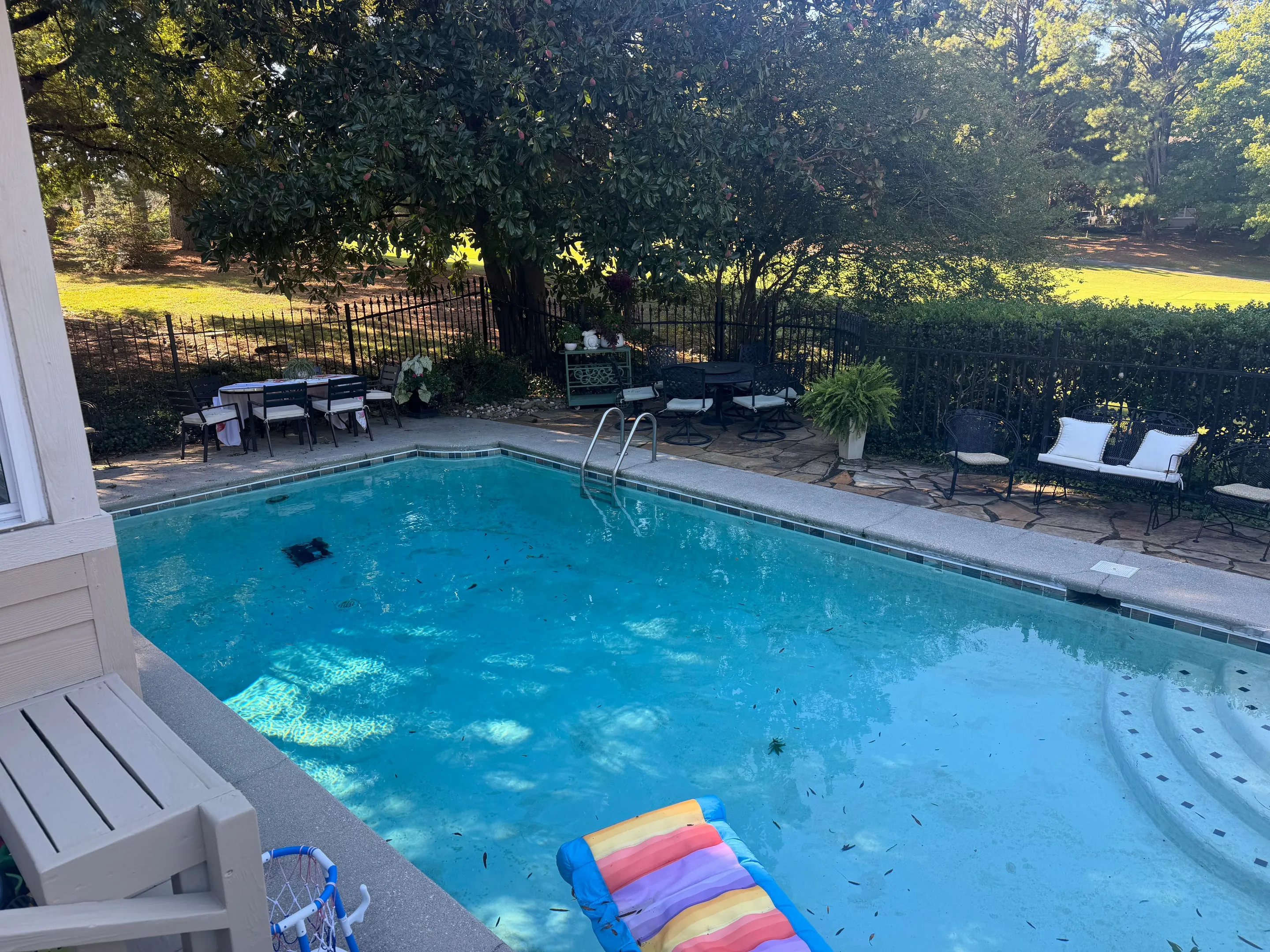 Pool & Patio